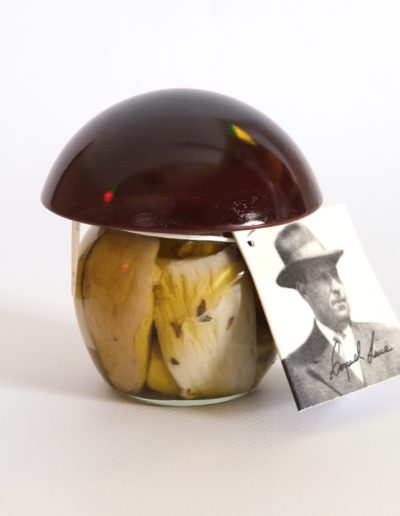 FUNGHI PORCINI TAGLIATI con tappo in legno 106 ml CT 12