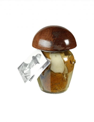 FUNGHI PORCINI TAGLIATI con tappo in legno CT 6