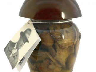FUNGHI ROSITI TAGLIATI con tappo in legno 314 ml CT 6