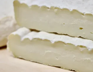 MONGIARDINA