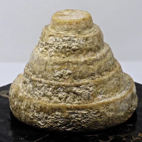 MONTEBORE